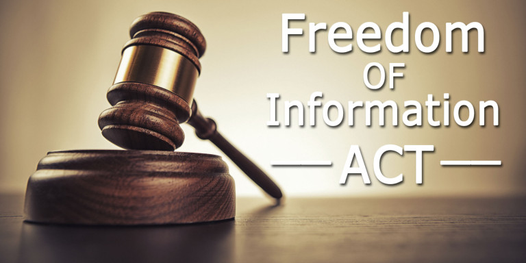 Effective Use of the Freedom of Information Act – Stone Grzegorek & Gonzalez LLP